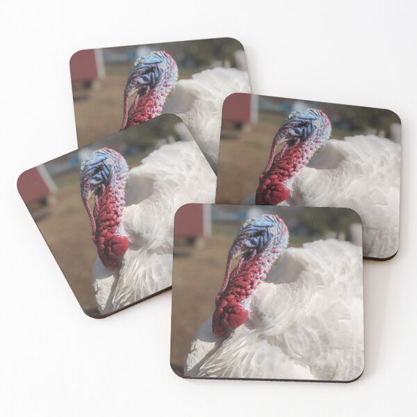 Item preview, Big Bird the Turkey designed and sold by TheRealDanniX.