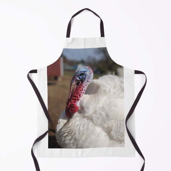Item preview, Big Bird the Turkey designed and sold by TheRealDanniX.