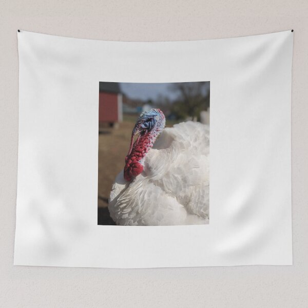 Item preview, Big Bird the Turkey designed and sold by TheRealDanniX.