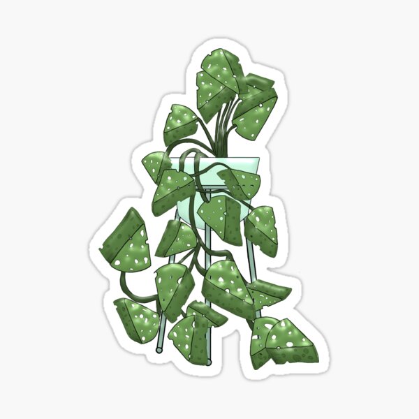 Swiss Cheese Plant Sticker