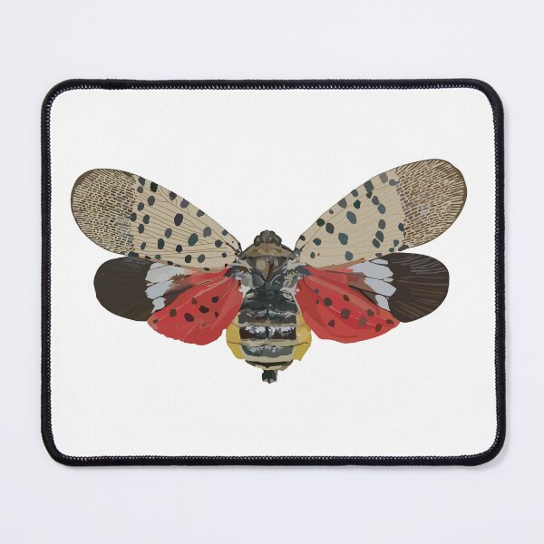 Item preview, Spotted Lanternfly designed and sold by HKCW.