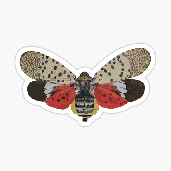 Item preview, Spotted Lanternfly designed and sold by HKCW.