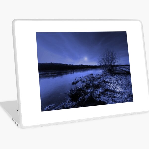 A WINTER DAY Laptop Skin