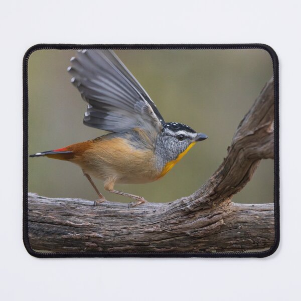 Item preview, Pardalote Landing designed and sold by David  Hibberd.