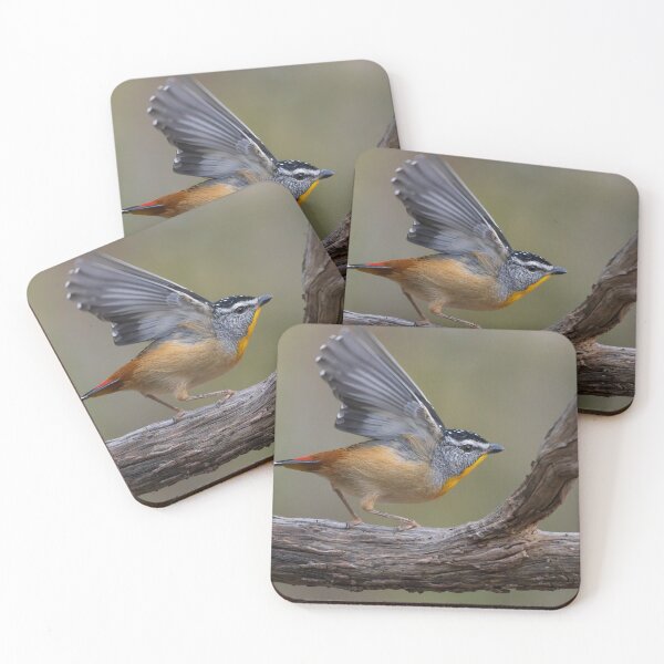 Item preview, Pardalote Landing designed and sold by David  Hibberd.