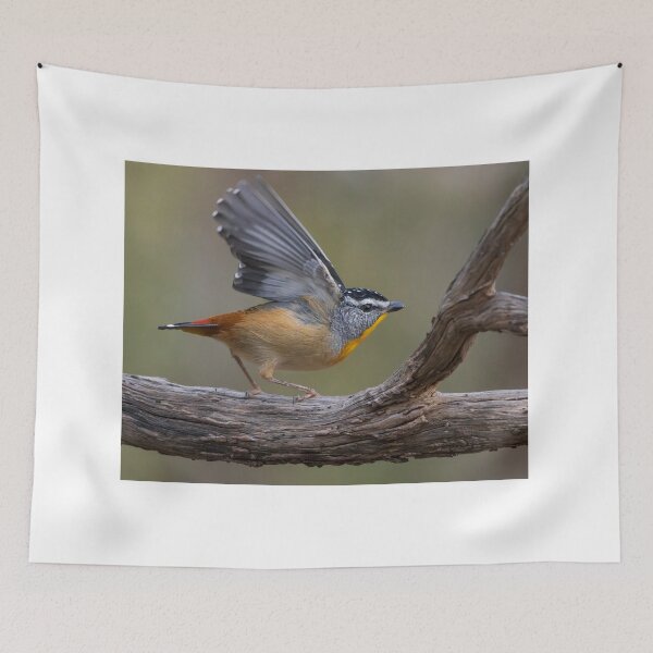 Item preview, Pardalote Landing designed and sold by David  Hibberd.