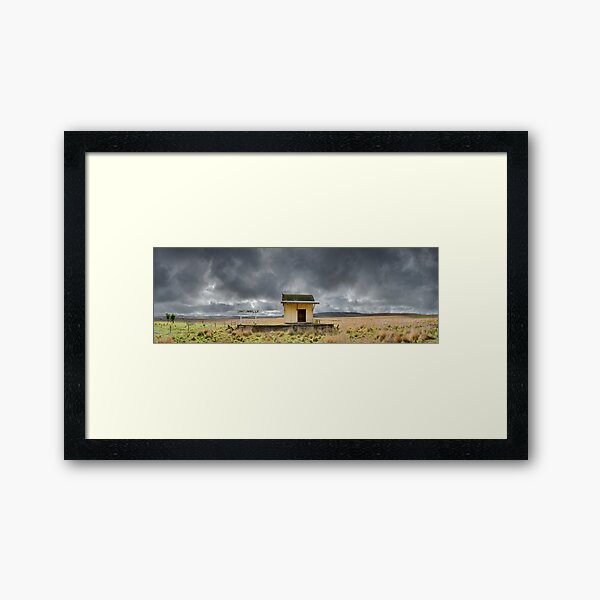 Framed Art Print