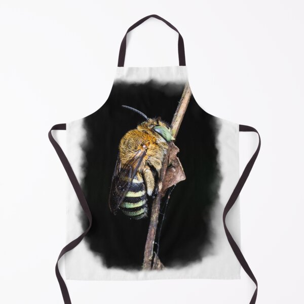 Item preview, A gorgeous banded bee (Amegilla sp) sleeping on a branch! designed and sold by AvonPerception.