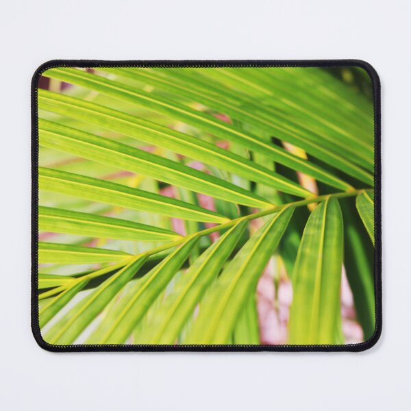 Item preview, It's Palm Time! designed and sold by VMKPhotography.