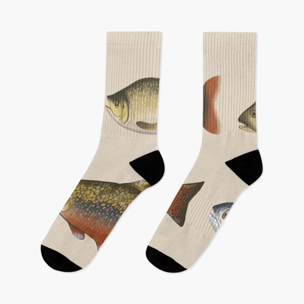 Item preview, freshwater fish designed and sold by DerSenat.