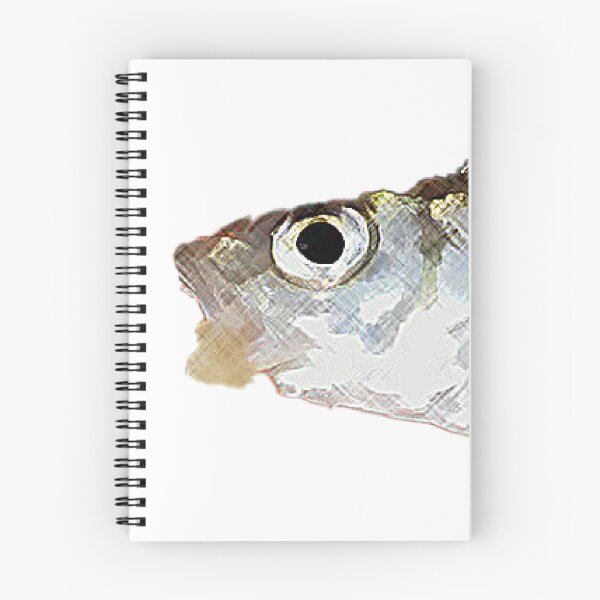Item preview, The European riffle minnow Alburnoides bipunctatus (Bloch, 1782)  designed and sold by mary02.