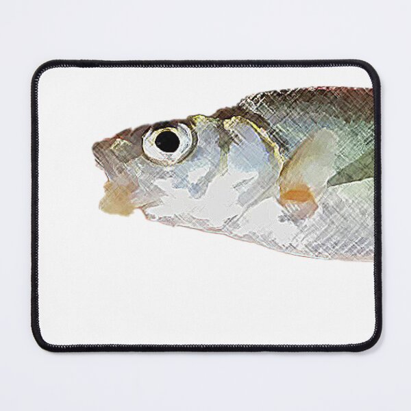 Item preview, The European riffle minnow Alburnoides bipunctatus (Bloch, 1782)  designed and sold by mary02.