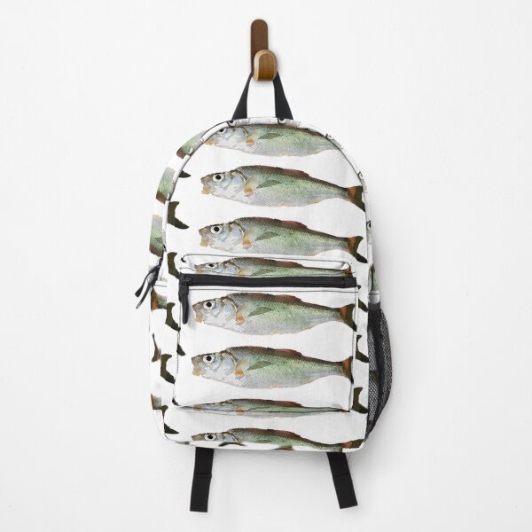 Item preview, The European riffle minnow Alburnoides bipunctatus (Bloch, 1782)  designed and sold by mary02.
