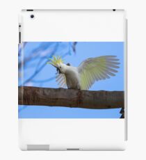 Sulphur Crested Cockatoo with Attitude iPad Case/Skin
