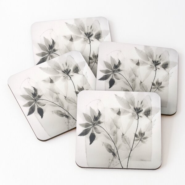 Item preview, Floral photogram 02 designed and sold by EmilyDayDreams.