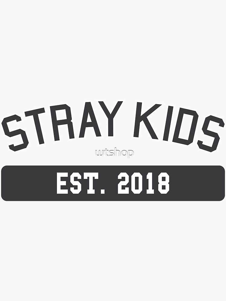 STRAY KIDS Kpop Stainless Steel Water Bottle, Kpop Merch, Kpop Gift Ideas,  Kpop Fan, Metal Bottle, SKZ Kpop, Kpop Bottle, Gift Ideas 