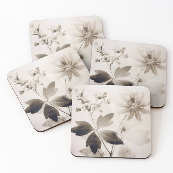 Item preview, Floral photogram 03 designed and sold by EmilyDayDreams.