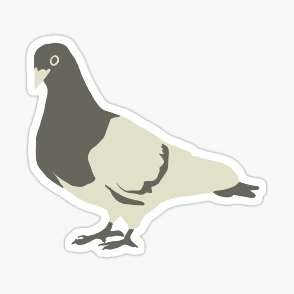 Pigeon Green Sticker