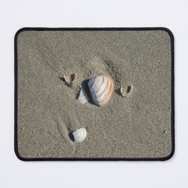 Item preview, One shell on the beach designed and sold by dabingboshi.
