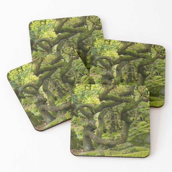 Item preview, Padley Gorge, Hope Valley, Derbyshire, UK designed and sold by EDHPhotography.