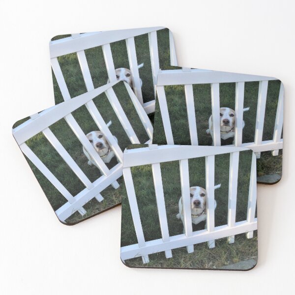 Item preview, Zoey and the White Picket Fence designed and sold by Scott and Mary Schneider art_photography.