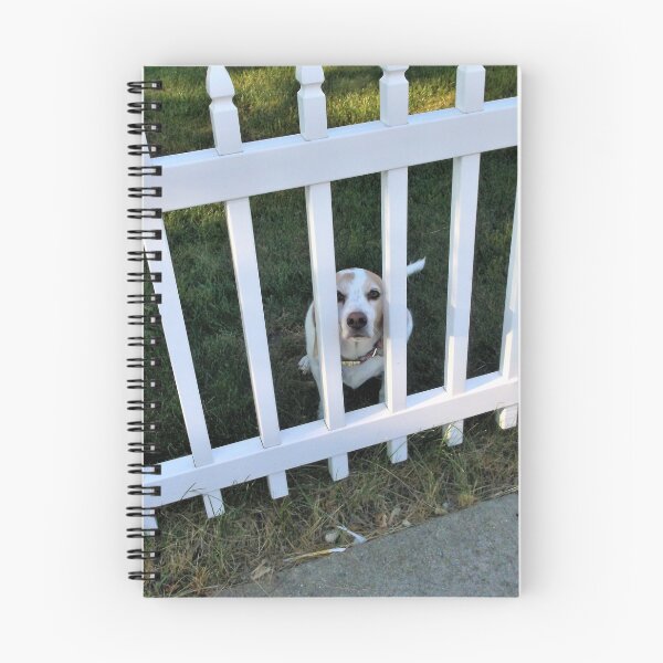 Item preview, Zoey and the White Picket Fence designed and sold by Scott and Mary Schneider art_photography.