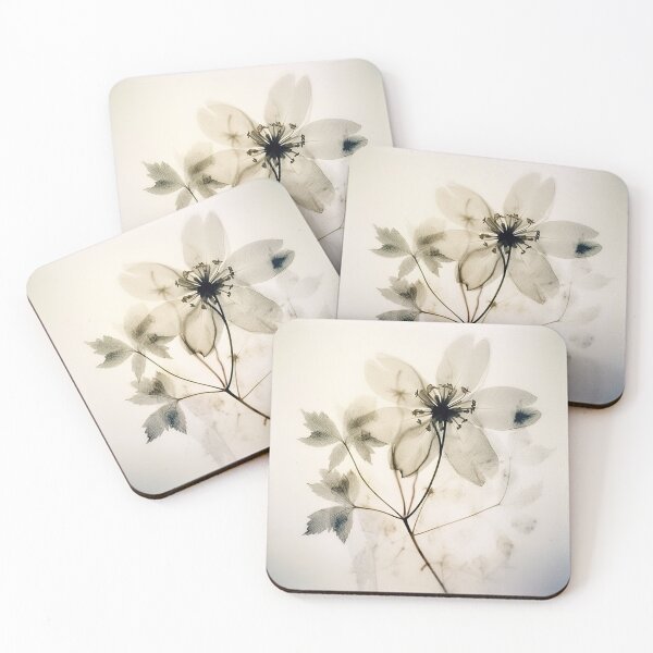 Item preview, Floral photogram 09 designed and sold by EmilyDayDreams.