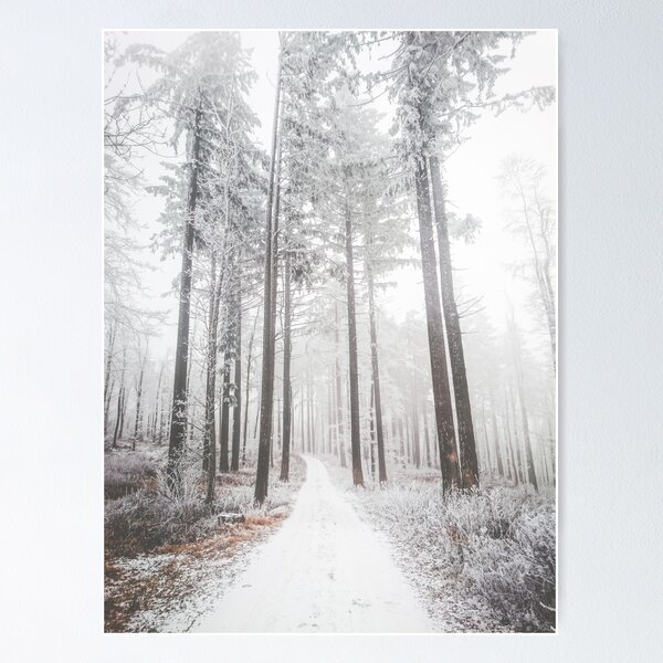 Mysterious road in a frozen foggy forest Poster