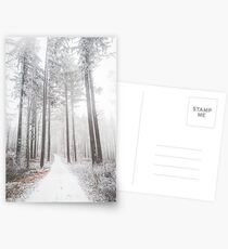 Mysteriöse Straße in einem gefrorenen nebeligen Wald Postkarten
