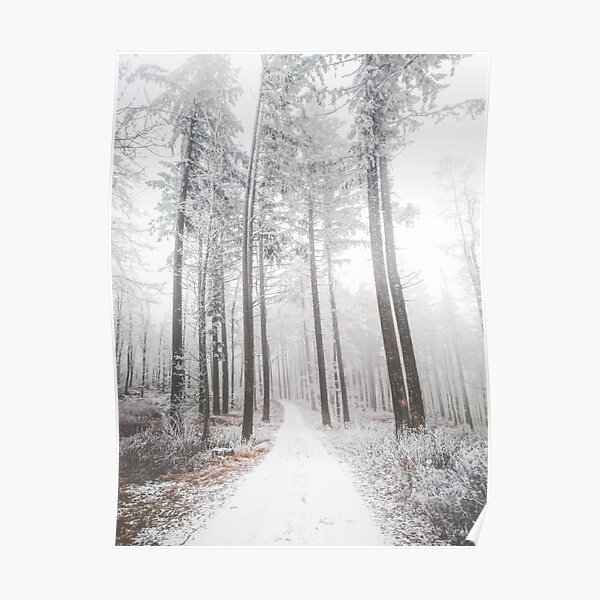 Mysterious road in a frozen foggy forest Poster