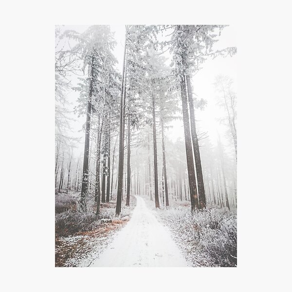 Mysterious Road In A Frozen Foggy Forest Photographic Print By Patriklovrin Redbubble