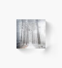 Mysterious road in a frozen foggy forest Acrylic Block