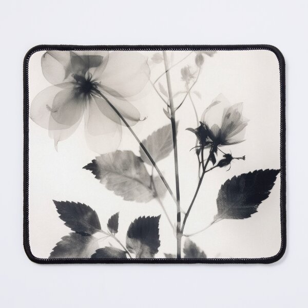 Item preview, Floral photogram 14 designed and sold by EmilyDayDreams.