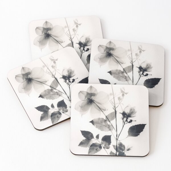 Item preview, Floral photogram 14 designed and sold by EmilyDayDreams.