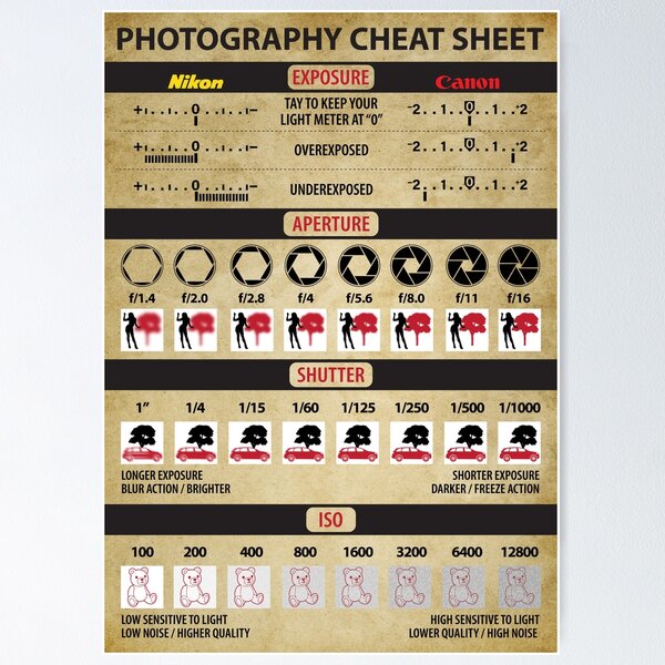 Aperçu de l'œuvre Aide-mémoire pour la photographie Design classique créée et vendue par YES!GOODY.