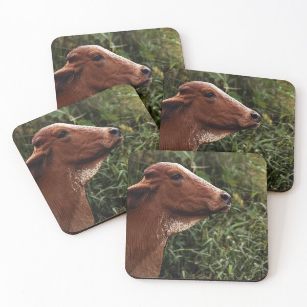 Item preview, Cow Portrait designed and sold by anafrancisconi.