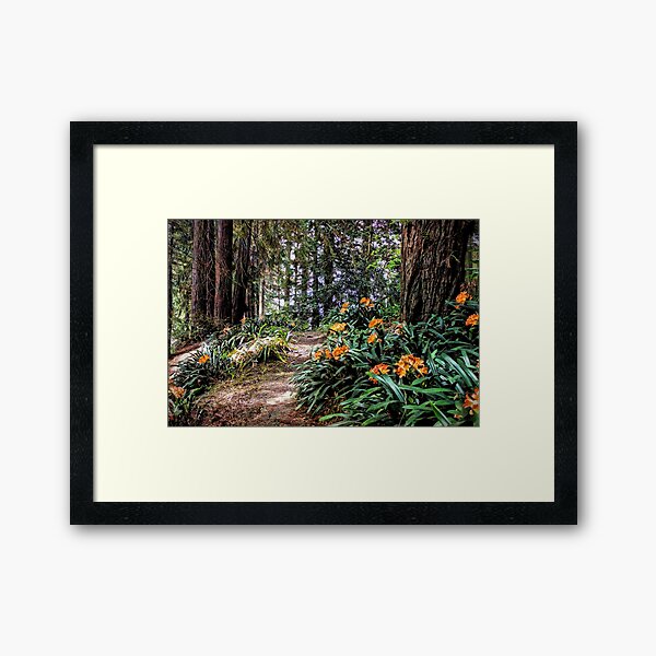 Item preview, Redwood Forest designed and sold by savapavo.