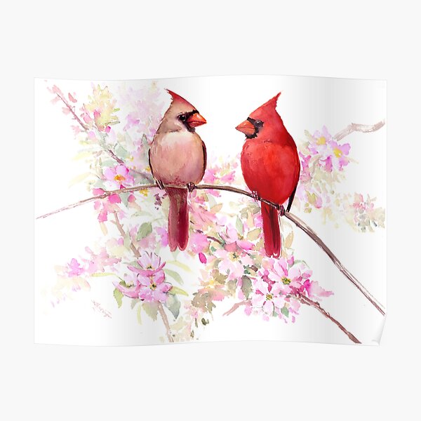 Pair of red birds Northern Cardinals in spring nature. Pastel