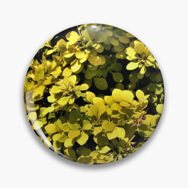 Item preview, Golden Barberry designed and sold by Scott and Mary Schneider art_photography.
