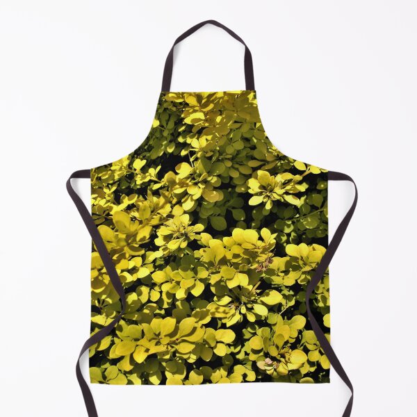 Item preview, Golden Barberry designed and sold by Scott and Mary Schneider art_photography.