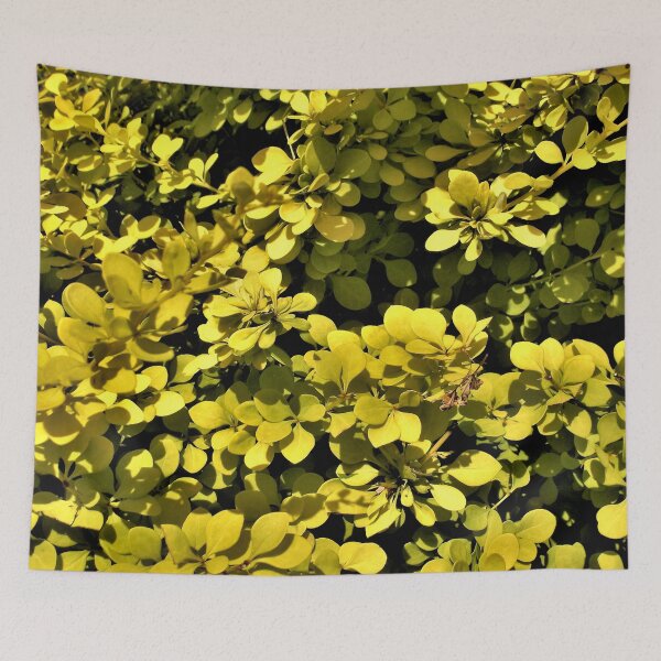 Item preview, Golden Barberry designed and sold by Scott and Mary Schneider art_photography.