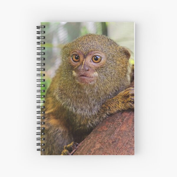 Mighty Marmoset! Spiral Notebook