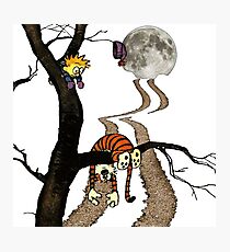 calvin hobbes Photographic Print