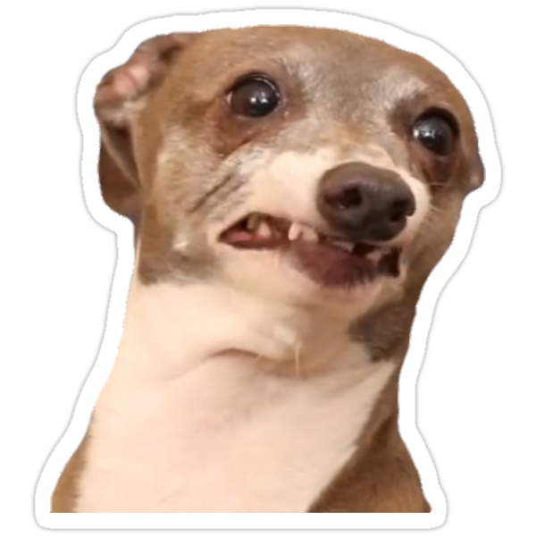  Jenna Marbles Dog  Kermit Still Being Nervous Stickers  by 