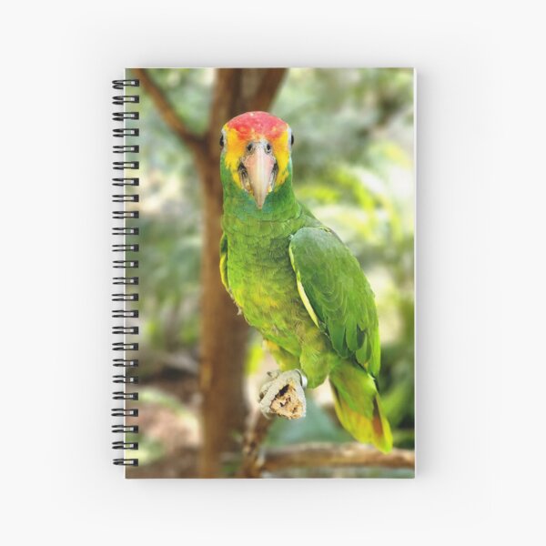 Red Browed Amazon Parrot Spiral Notebook