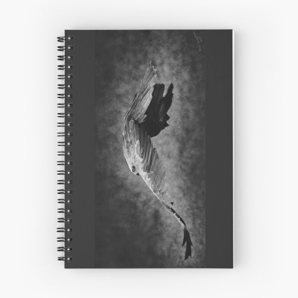 Item preview, Red Kite art designed and sold by SpringerZS180.