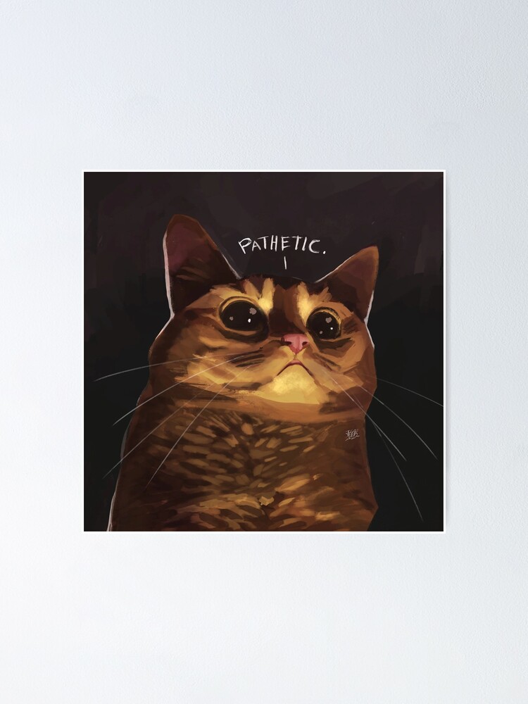 HQ Pathetic Cat Meme Cursed Face | Poster