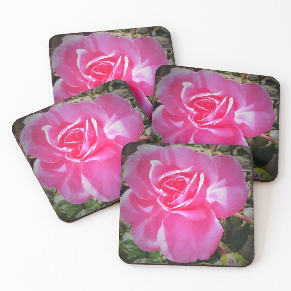 Item preview, Hot Pink Rose designed and sold by Scott and Mary Schneider art_photography.