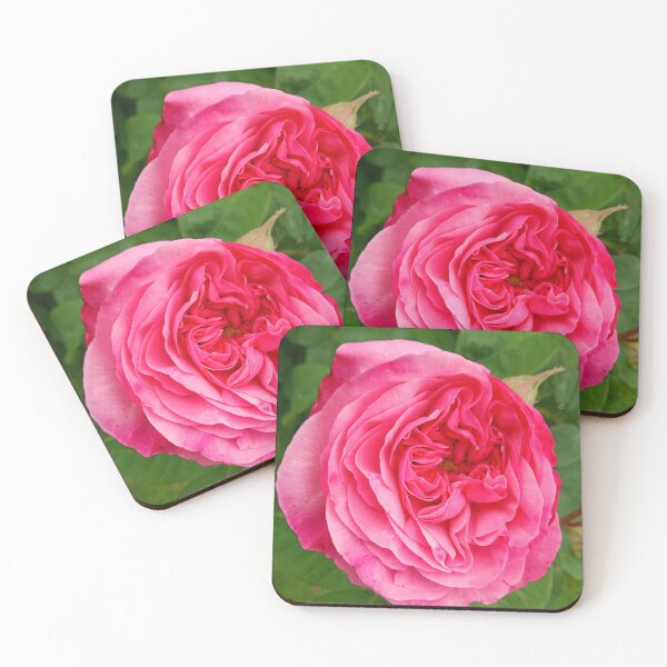 Item preview, Rose with love designed and sold by Dreammkd.