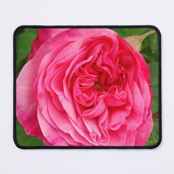 Item preview, Rose with love designed and sold by Dreammkd.